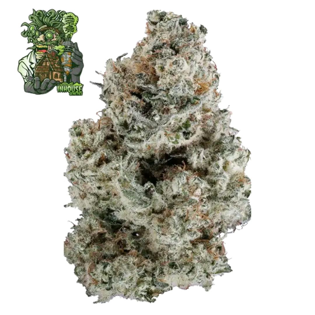 InHouse Genetics | Sugar Tree | Hybrid | Feminized | 6pk