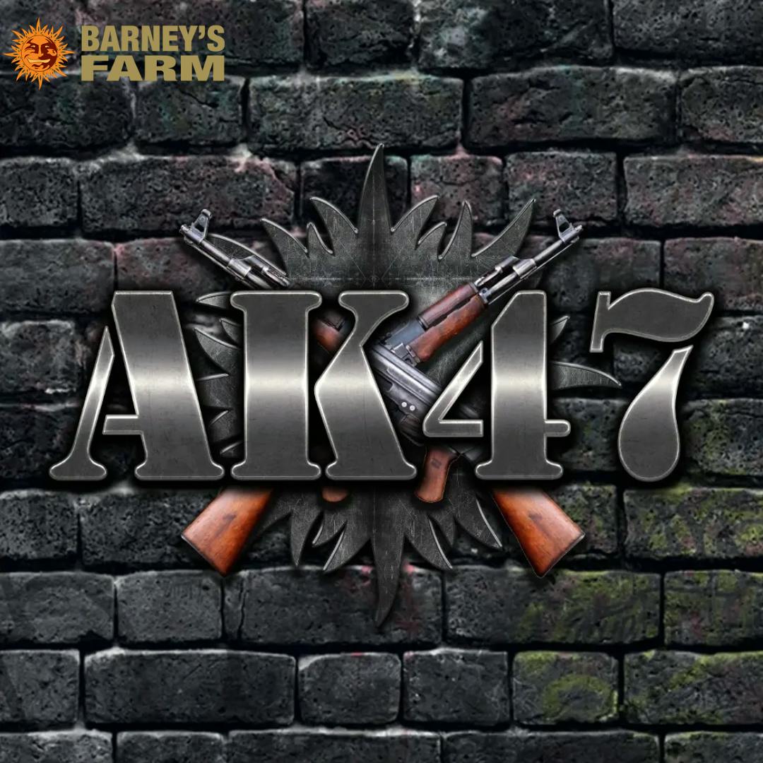 Barney's Farm | AK-47 | SDH | Feminized | 5pk