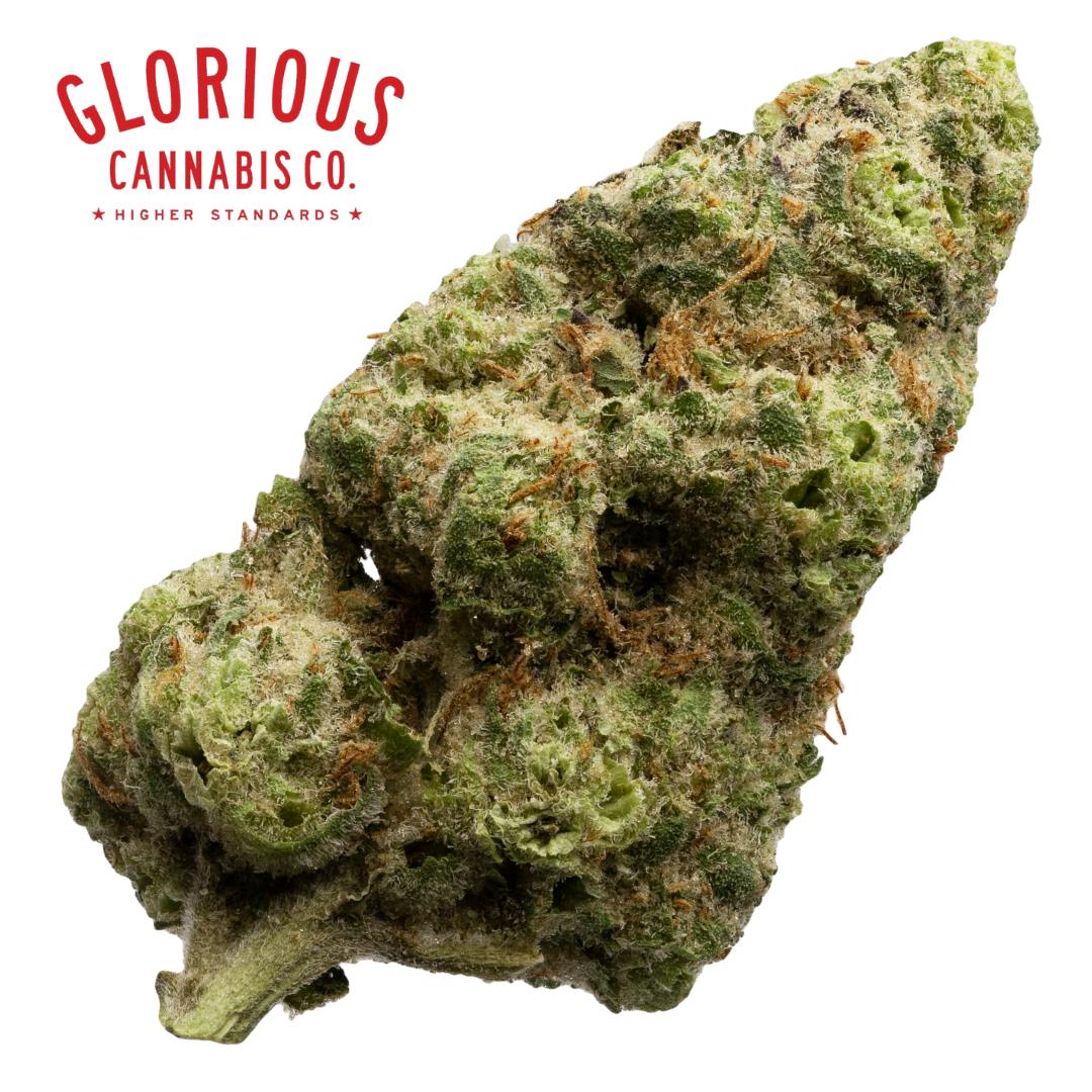 Flower | Glorious | Modified Grapes | SDH | 3.5g