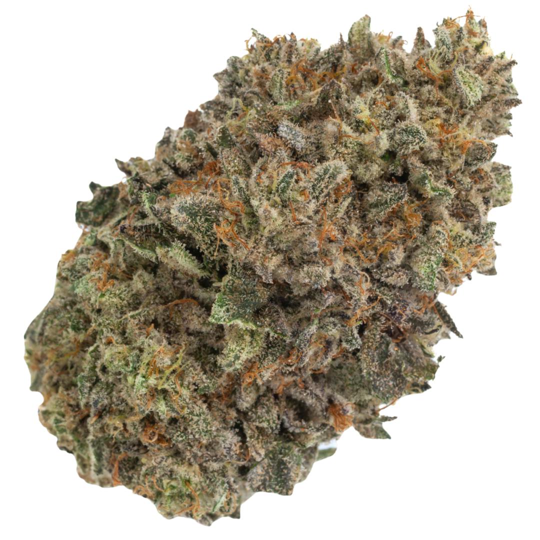 Flower | TC | Champagne Showers | IDH | 3.5g