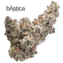 Flower Half Ounce | Bostica | Drip | SDH | 14g