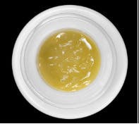 Key Lime Pie | Live Rosin Jam
