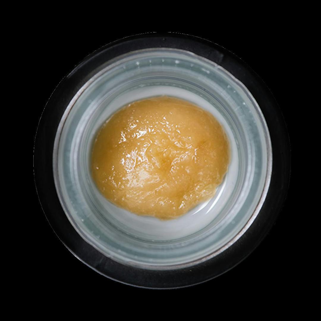 Fugu #1 | Live Rosin