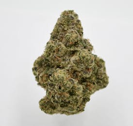Slurricane (I)