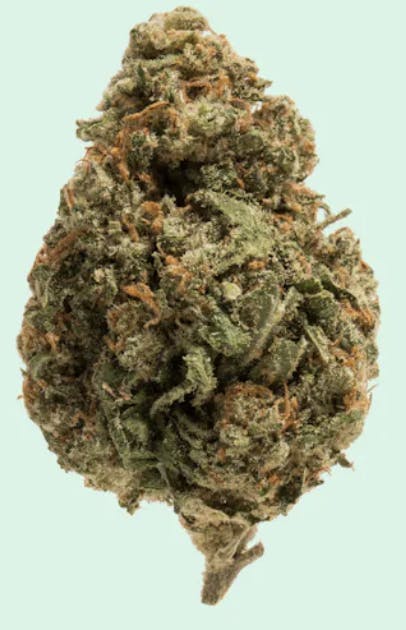 Galaxy - Lemon Cherry Gelato: 3.5g
