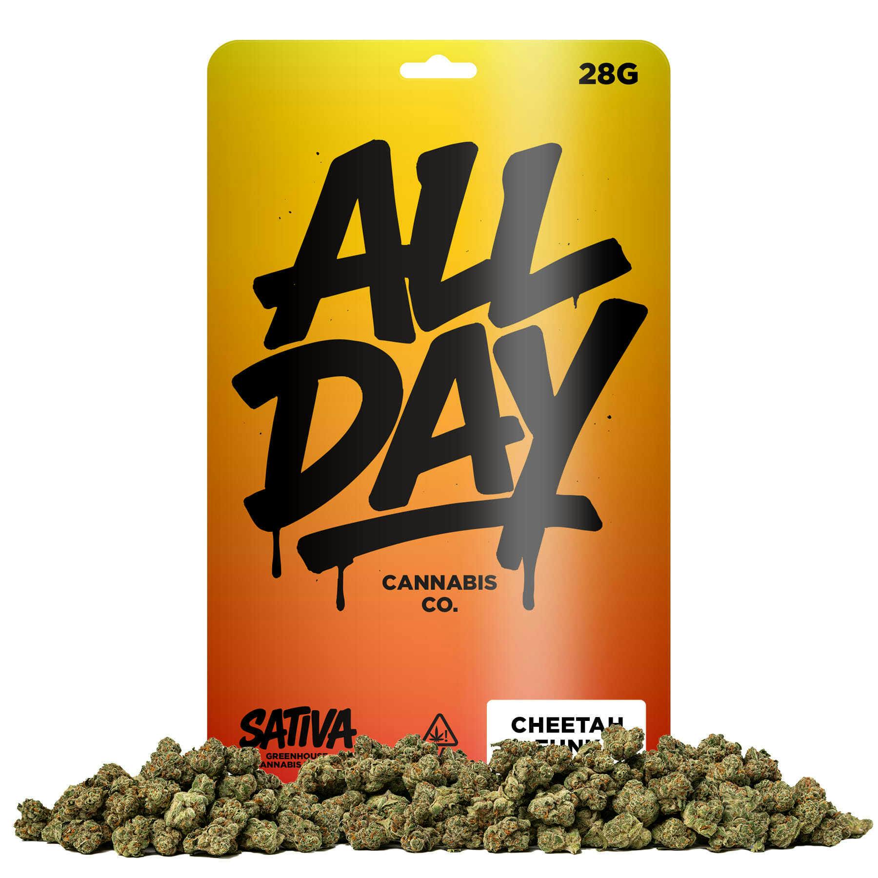 All Day - Cheetah Funk: 1 Item