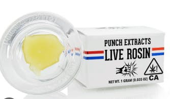 Punch Edibles & Extracts - Nectarine Gelato | 1g Live Rosin Badder T4