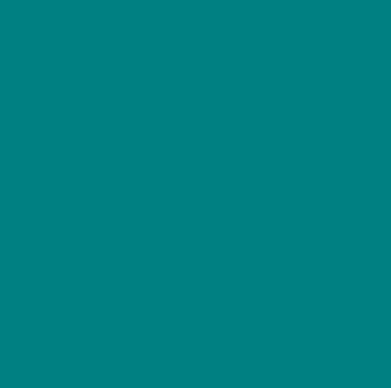 Shirt - Tamarack Whitefish $15 - Teal