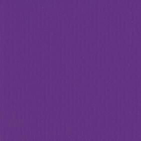 Shirt - Tamarack Whitefish $15 - Purple