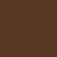 Shirt - Tamarack Whitefish $15 - Chocolate