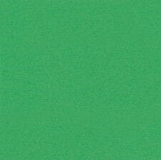 Shirt - Tamarack Whitefish $15 - Irish Green
