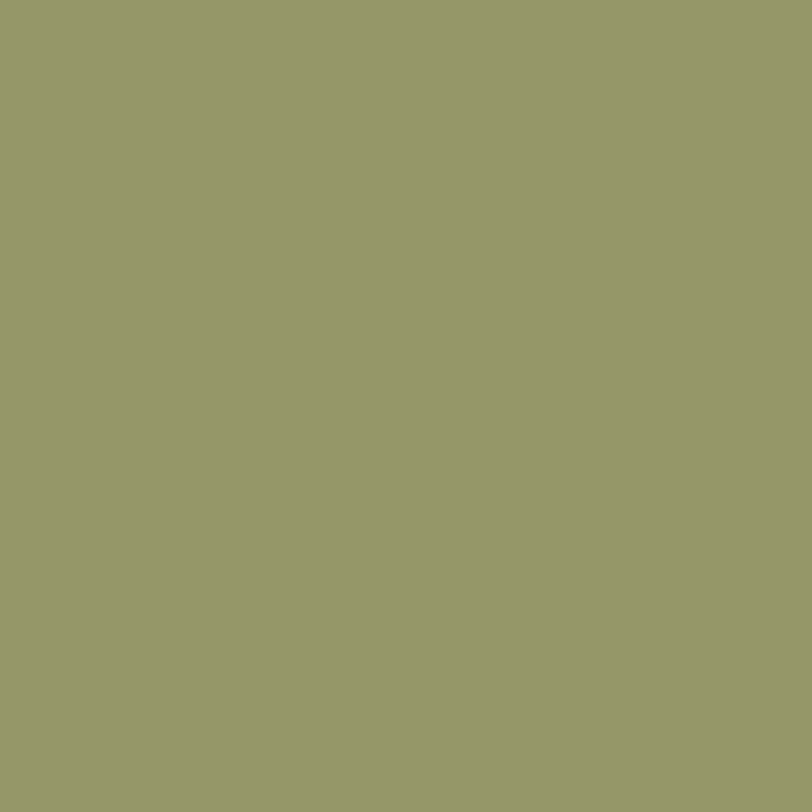 Shirt - Tamarack Whitefish $15 - Army Green