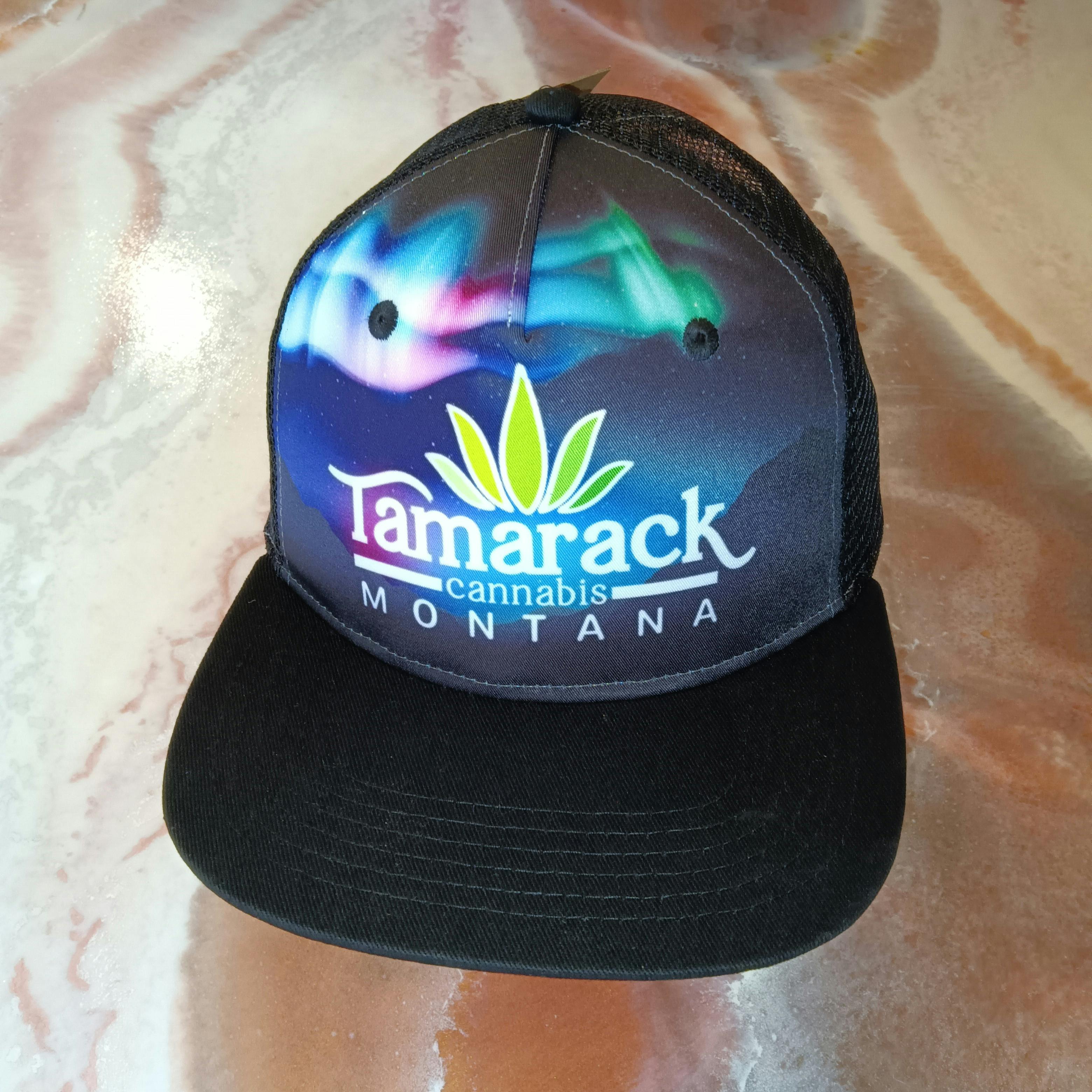 Hat - Ball Cap - Light Up The North $25