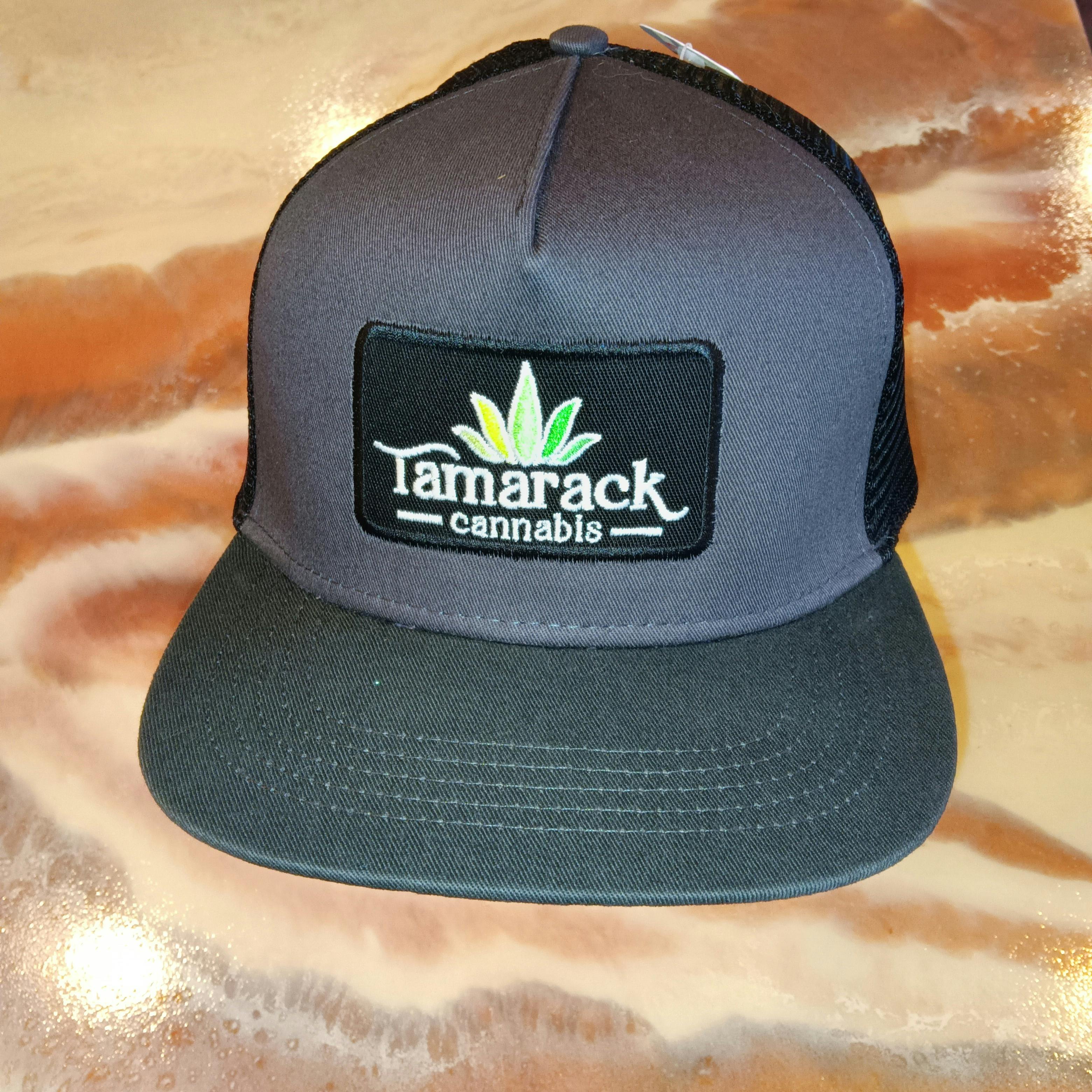 Hat - Ball Cap - Gray Cap w/Black Patch $25