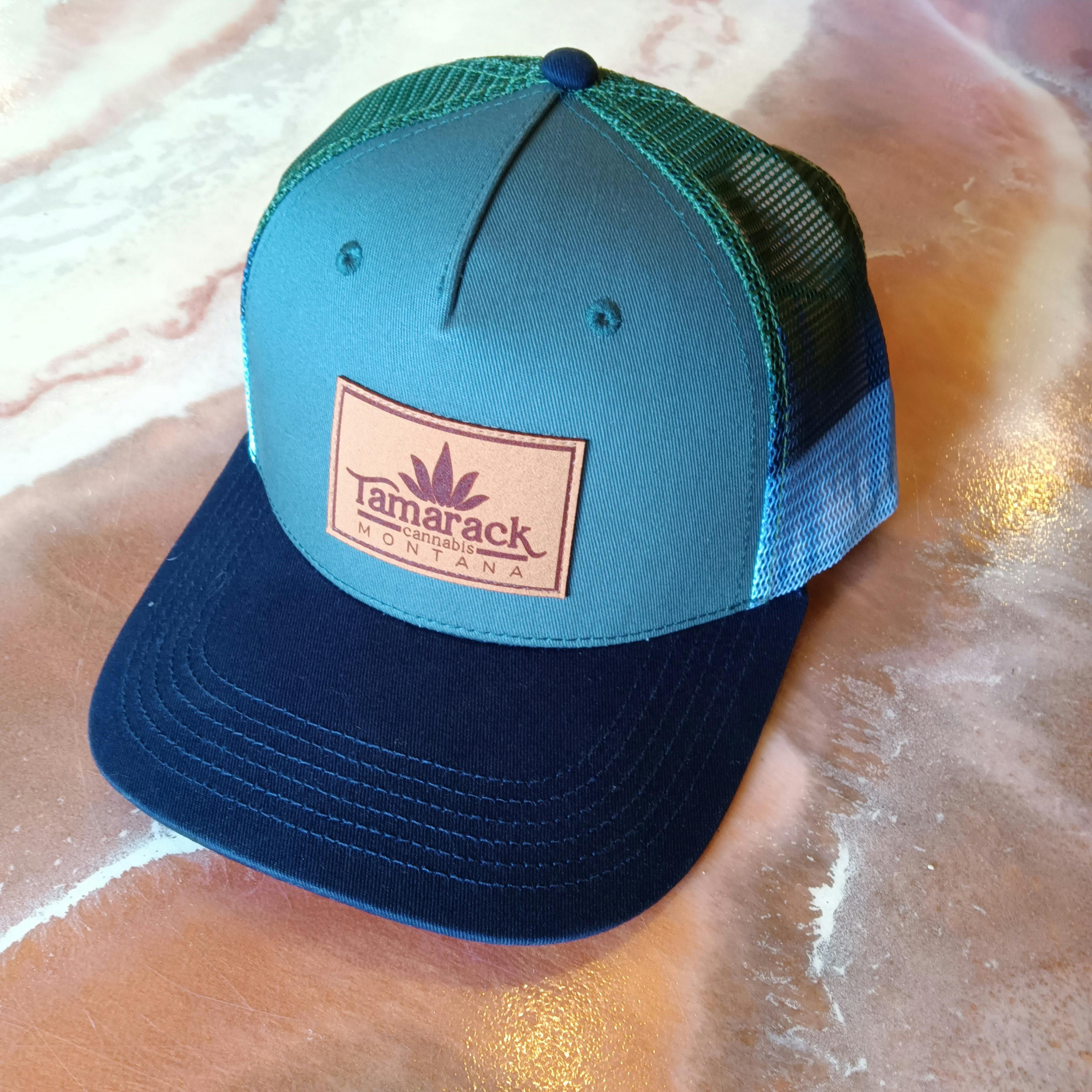 Hat - Ball Cap - Lake Moonrise Mesh $25