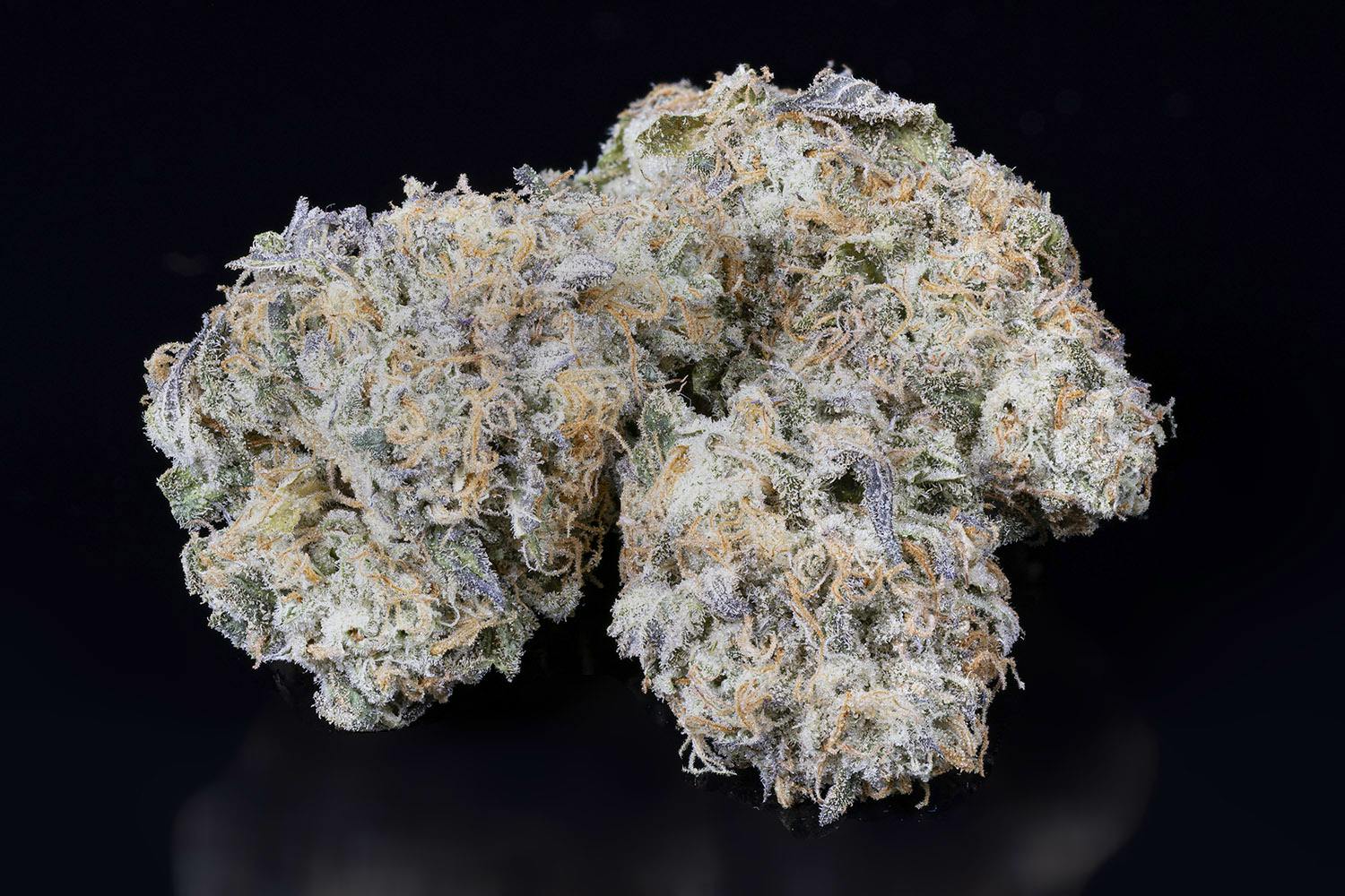 Mule Fuel
