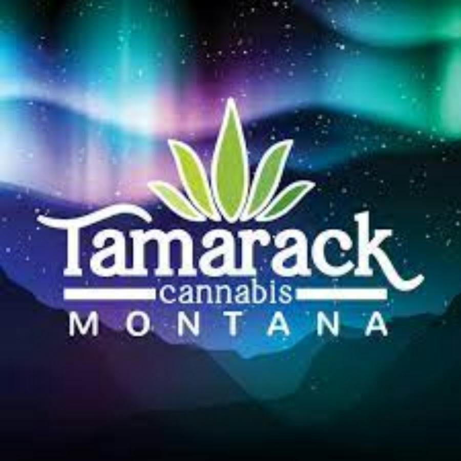 Novelty Items - - Exit Bag $1 at Tamarack Cannabis - Best Dispensary Kalispell