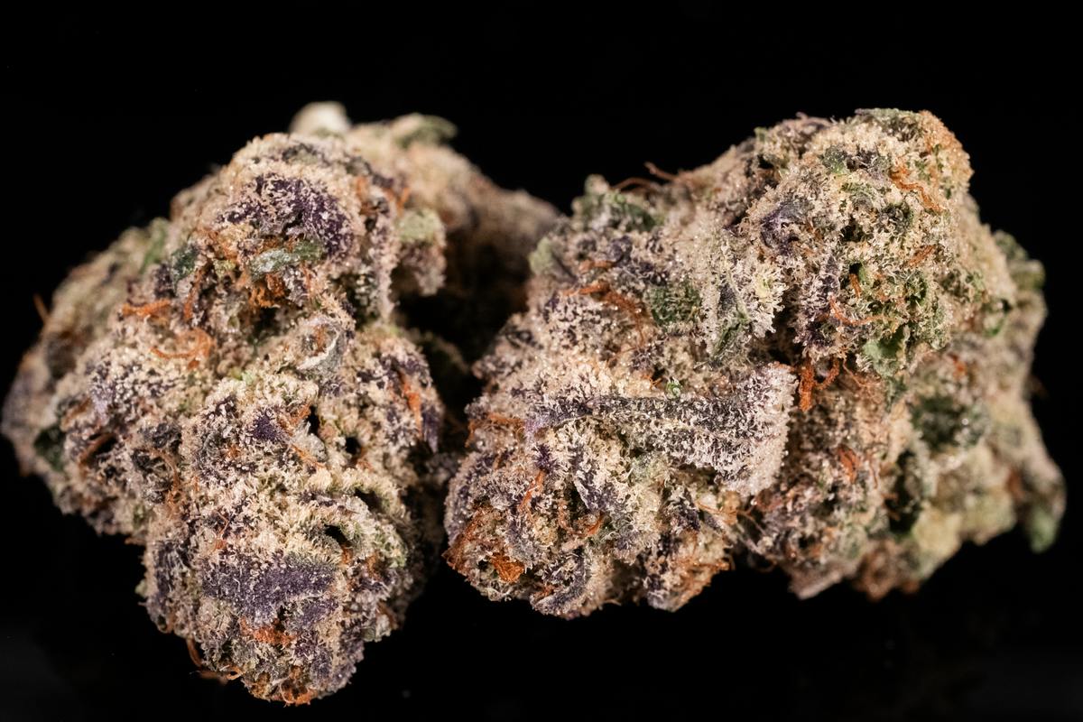 Mimosa