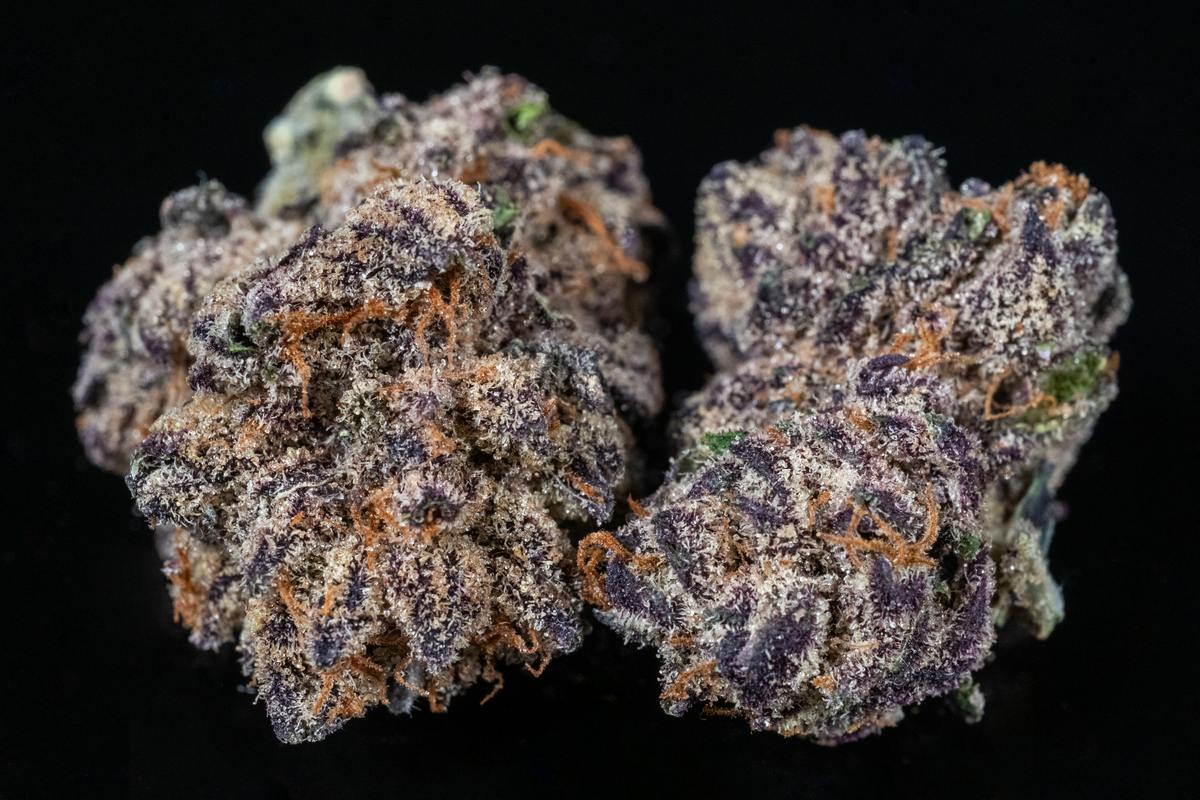 Guava Lava