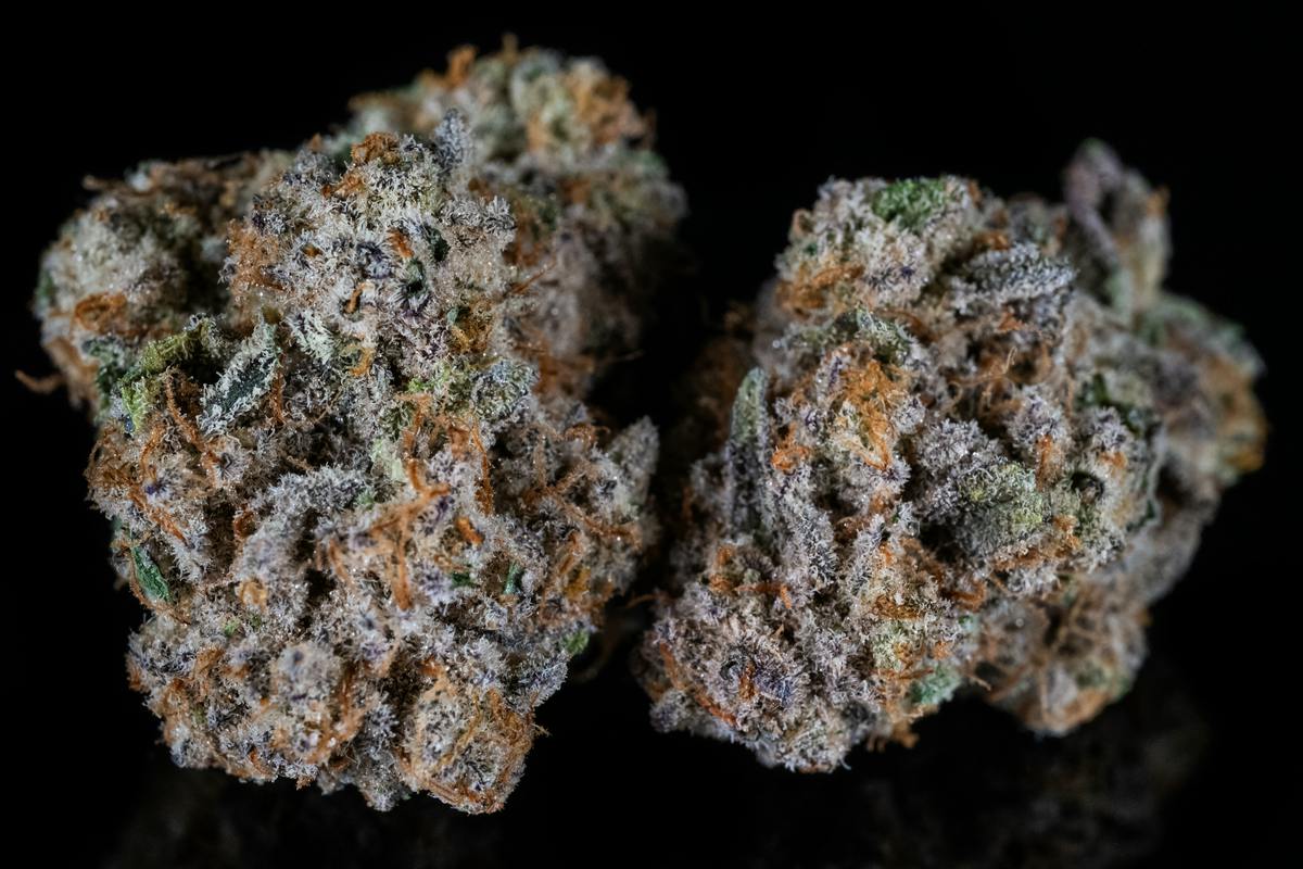 Miracle Alien Cookies