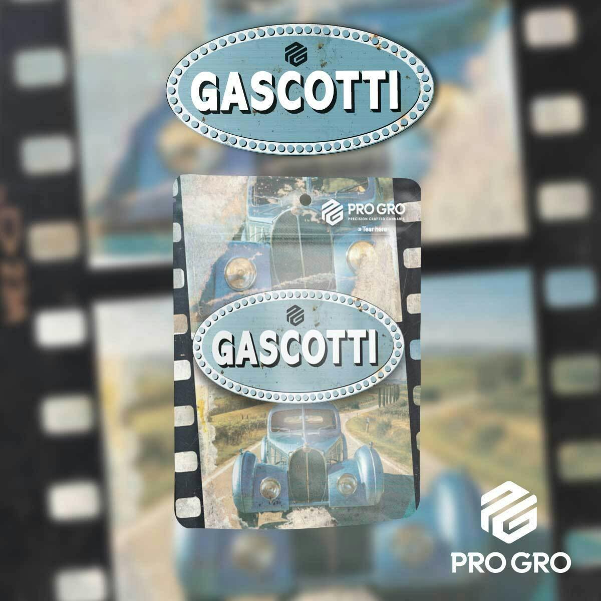 Gascotti | Pre-Pack