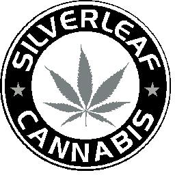 Silverleaf BIC Lighter