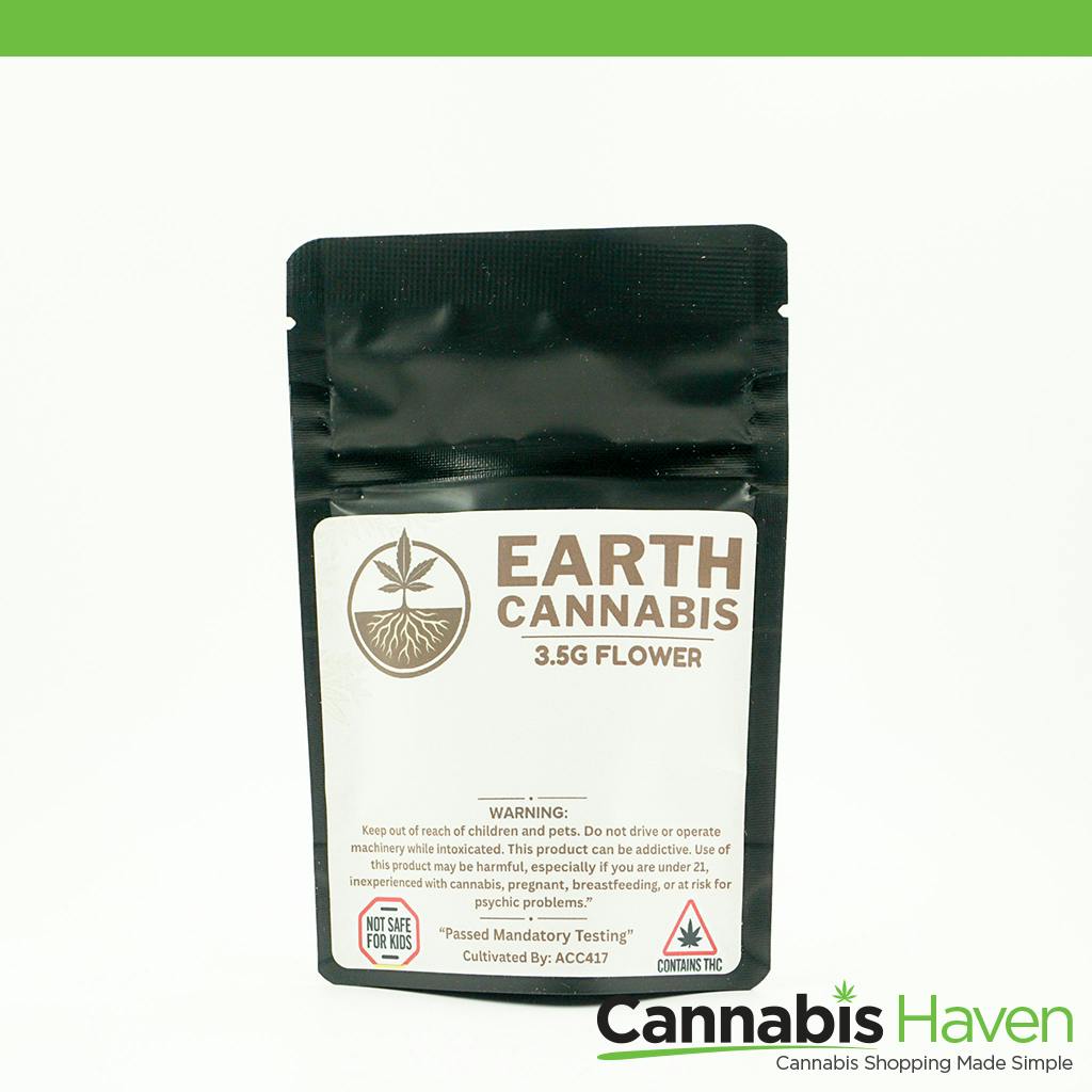 Earth Government Oasis