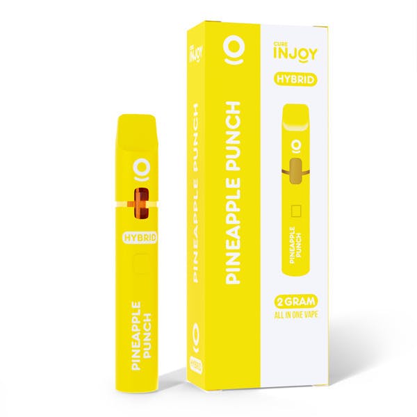 2g Pineapple Punch Disposable | Injoy | 2 For $40