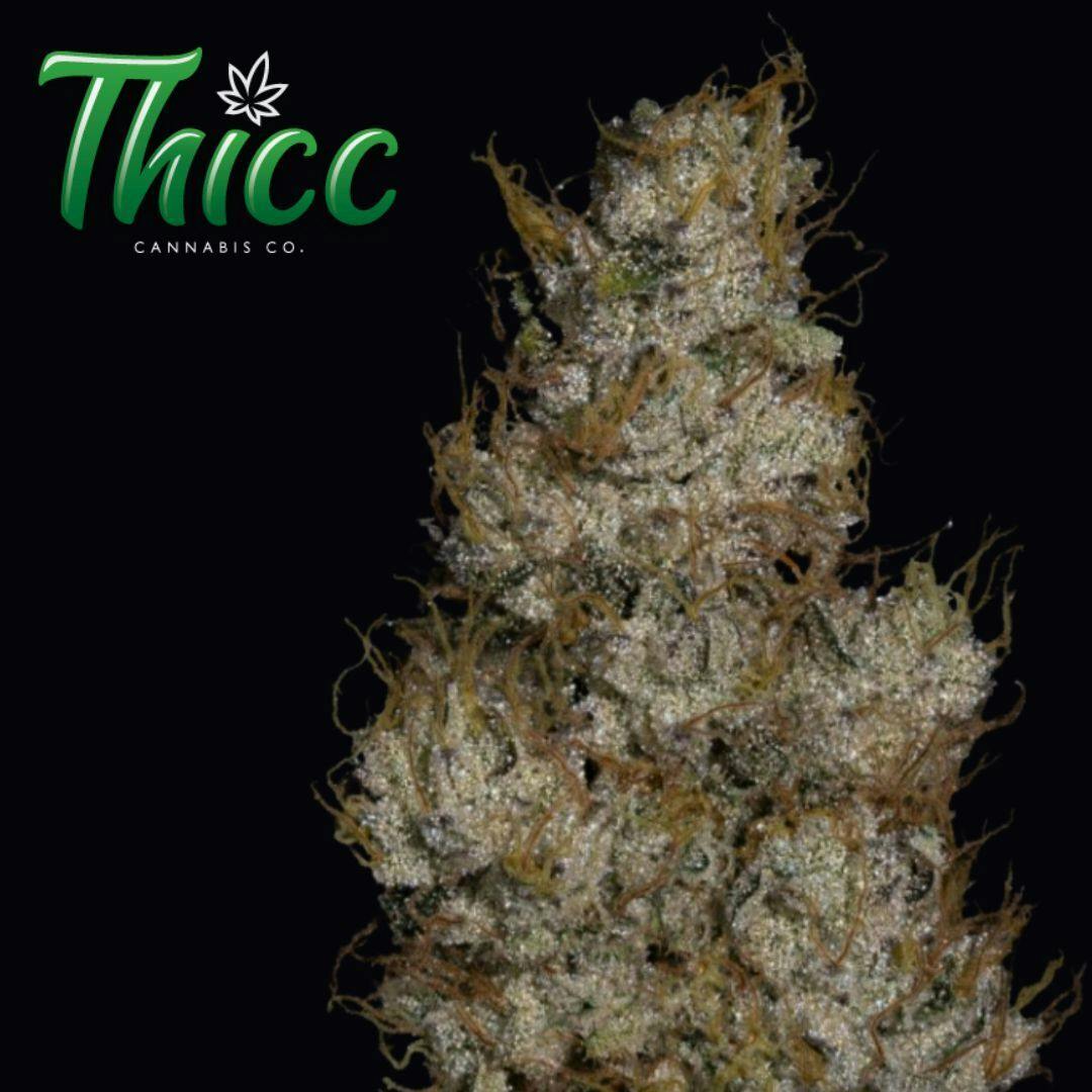 3.5g Uneazy E | Prepack Flower | Thicc