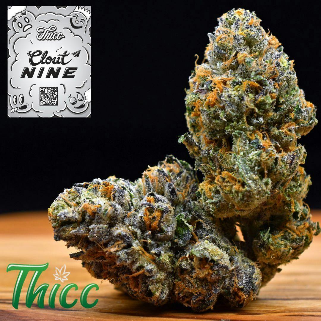 3.5g Clout Nine | Prepack Flower | Thicc