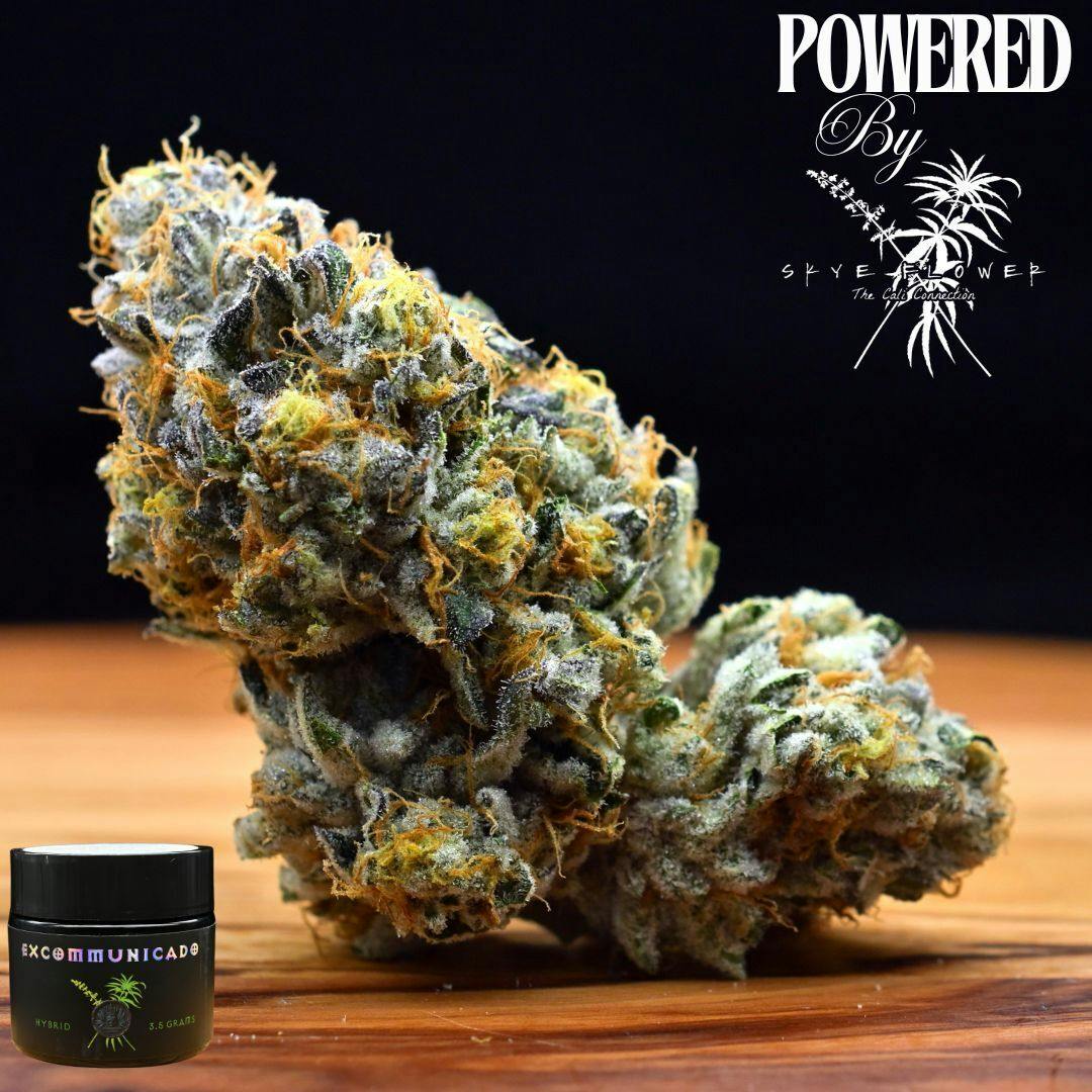 3.5g Care Bearz | Prepack Flower | Greenleaf Powered by Skye