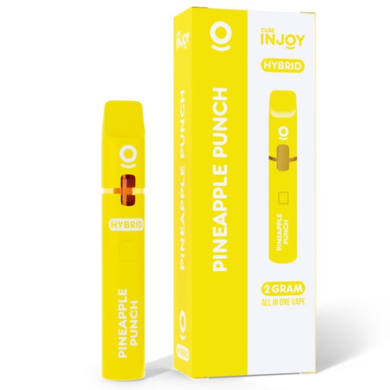 2g Pineapple Punch Disposable | Injoy