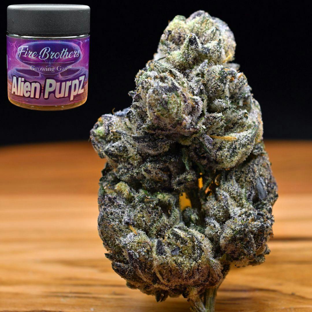 3.5g Alien Purpz | Prepack Flower | Fire Brothers