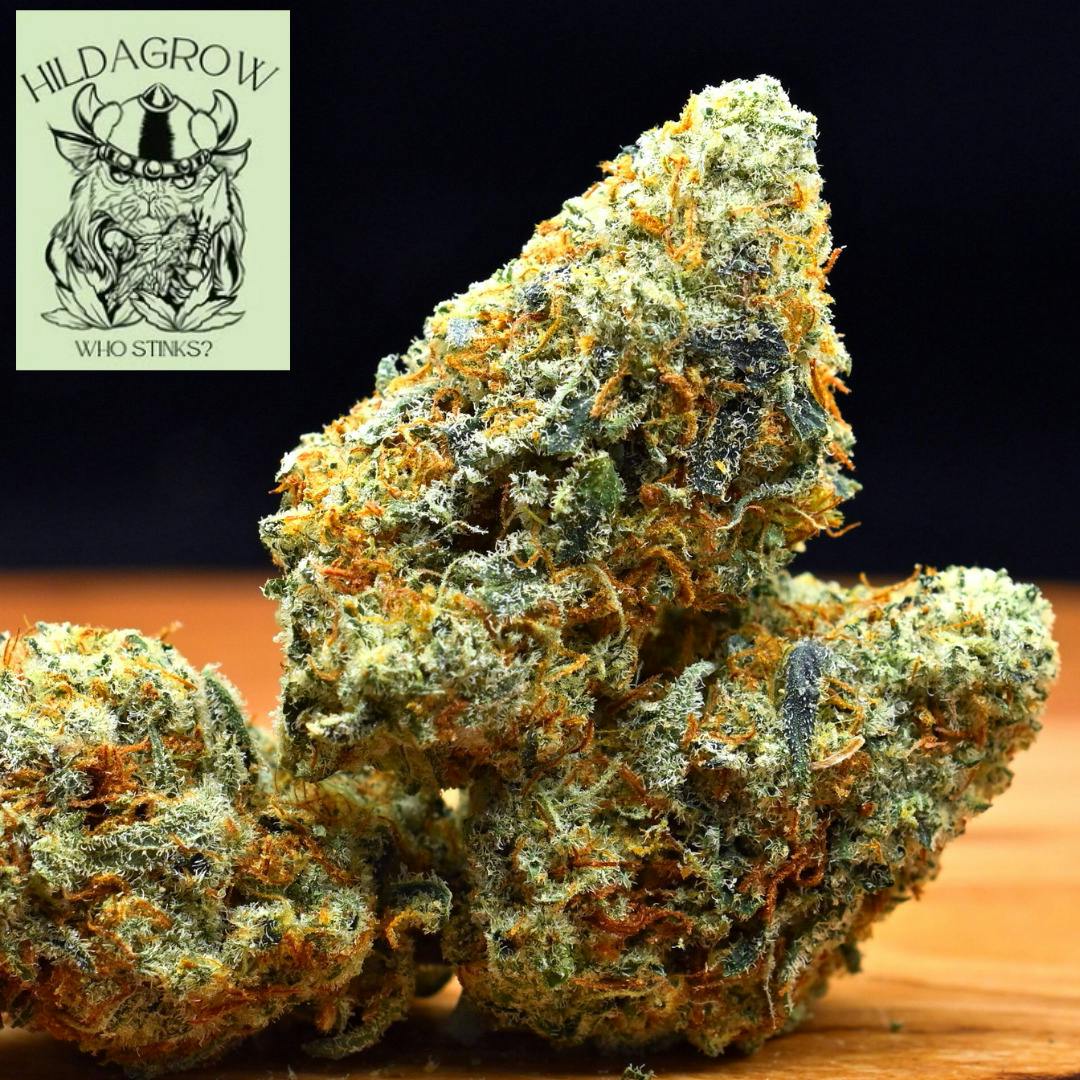 3.5g Cat Piss | Prepack Flower | Hildagrow