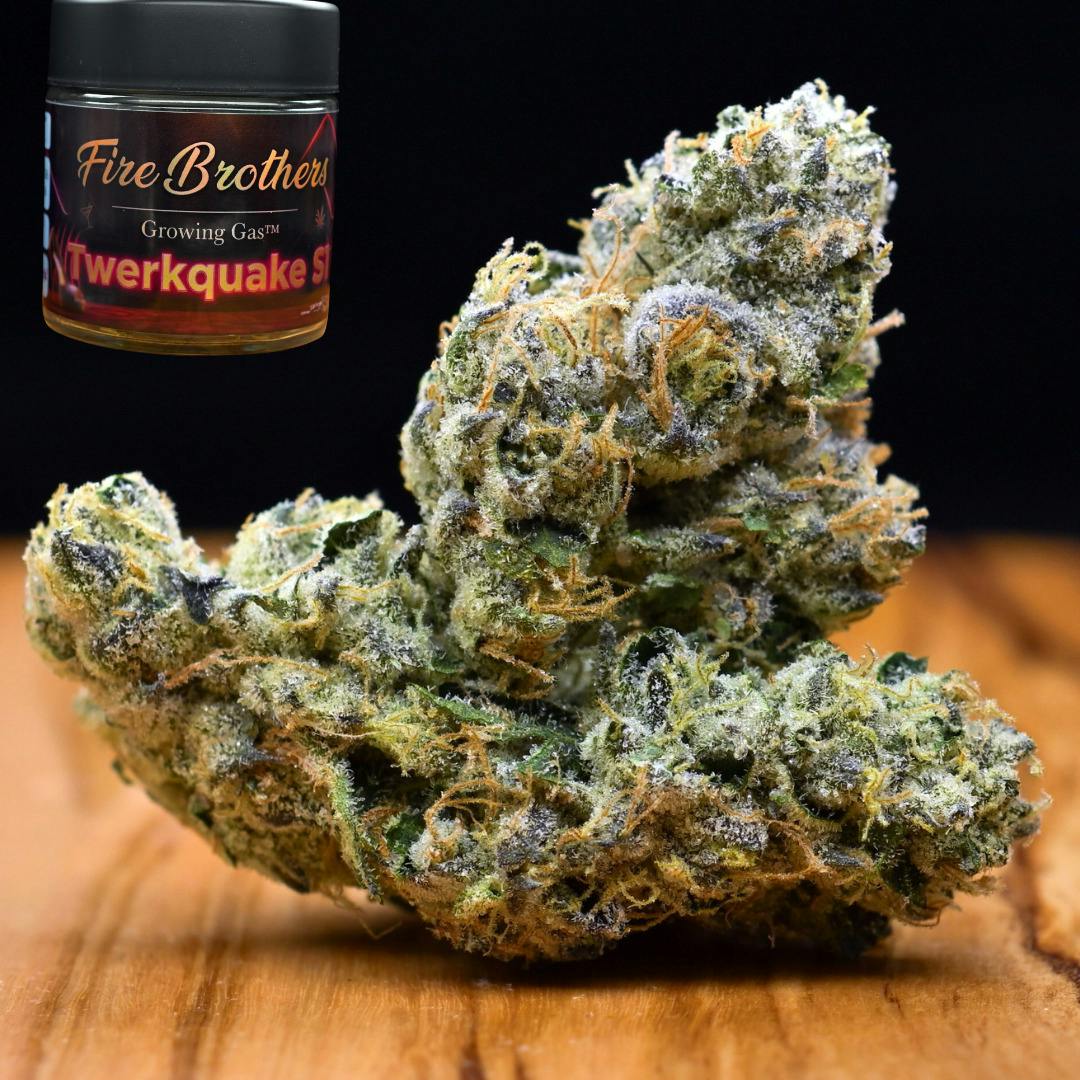 3.5g Twerkquake | Prepack Flower | Fire Brothers