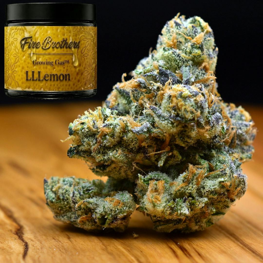 3.5g LLLemon | Prepack Flower | Fire Brothers