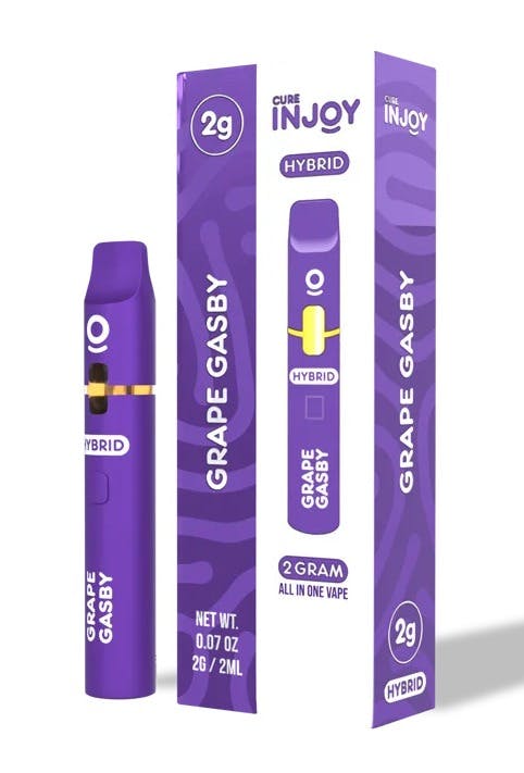 2g Grape Gasby Disposable | Injoy | 2 For $40