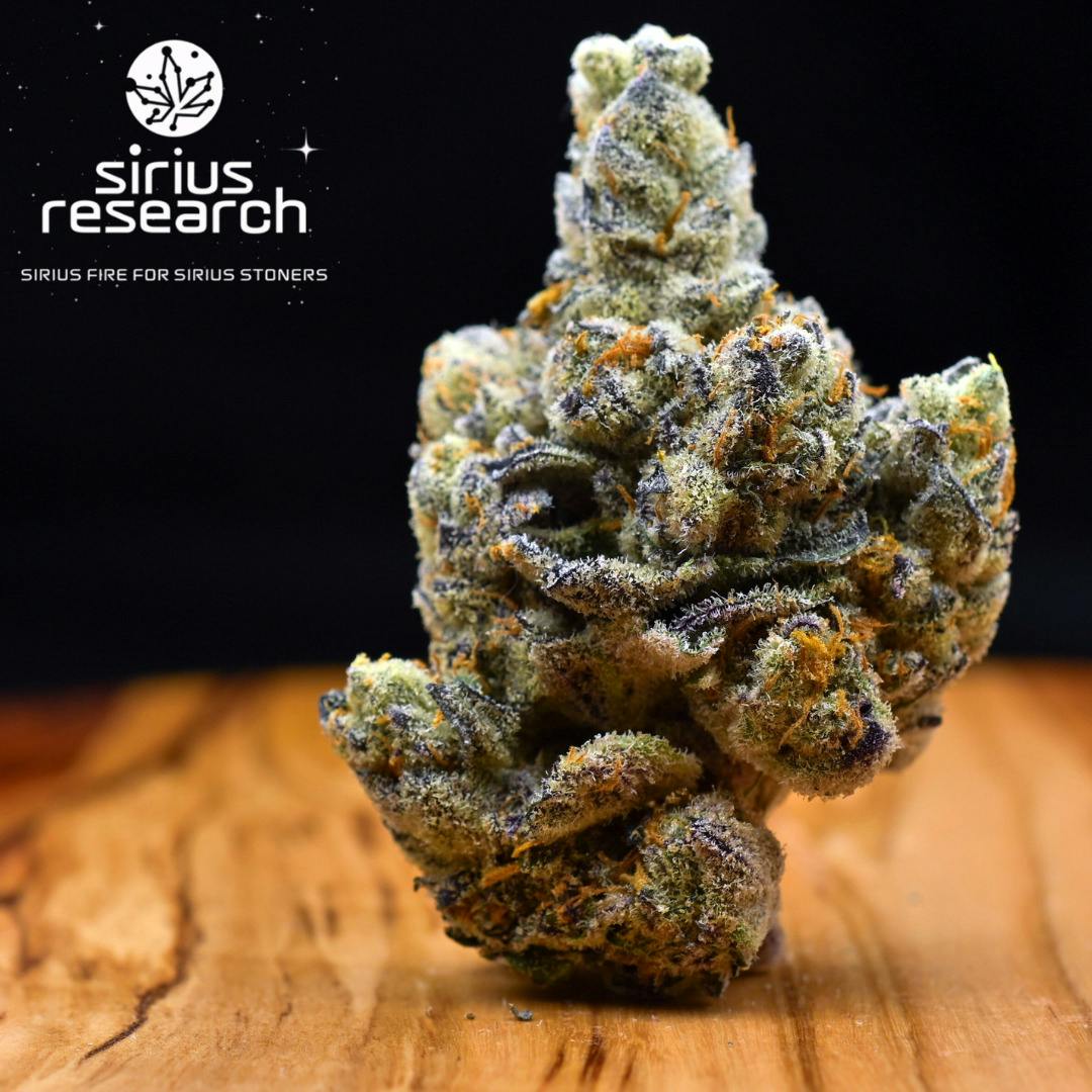 3.5g Hella Slumped | Prepack Flower | Sirius Research
