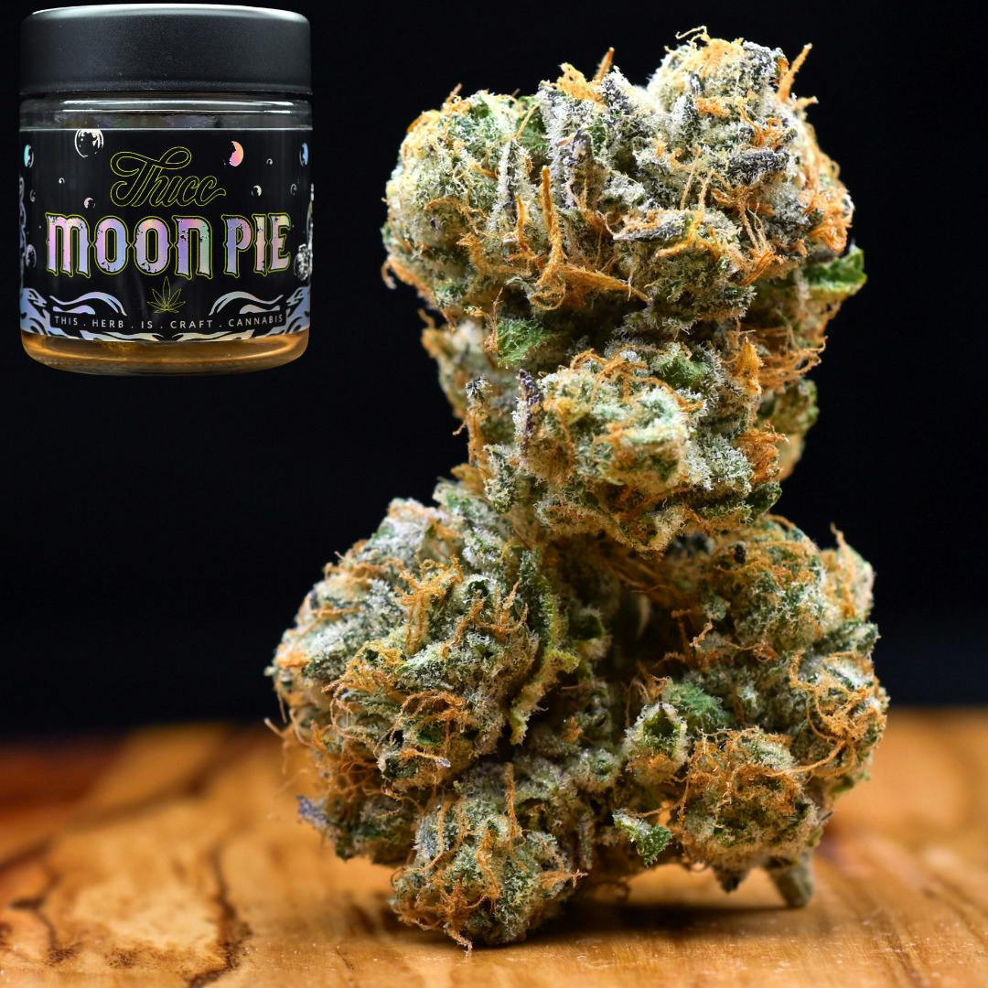 Moon Pie Thicc