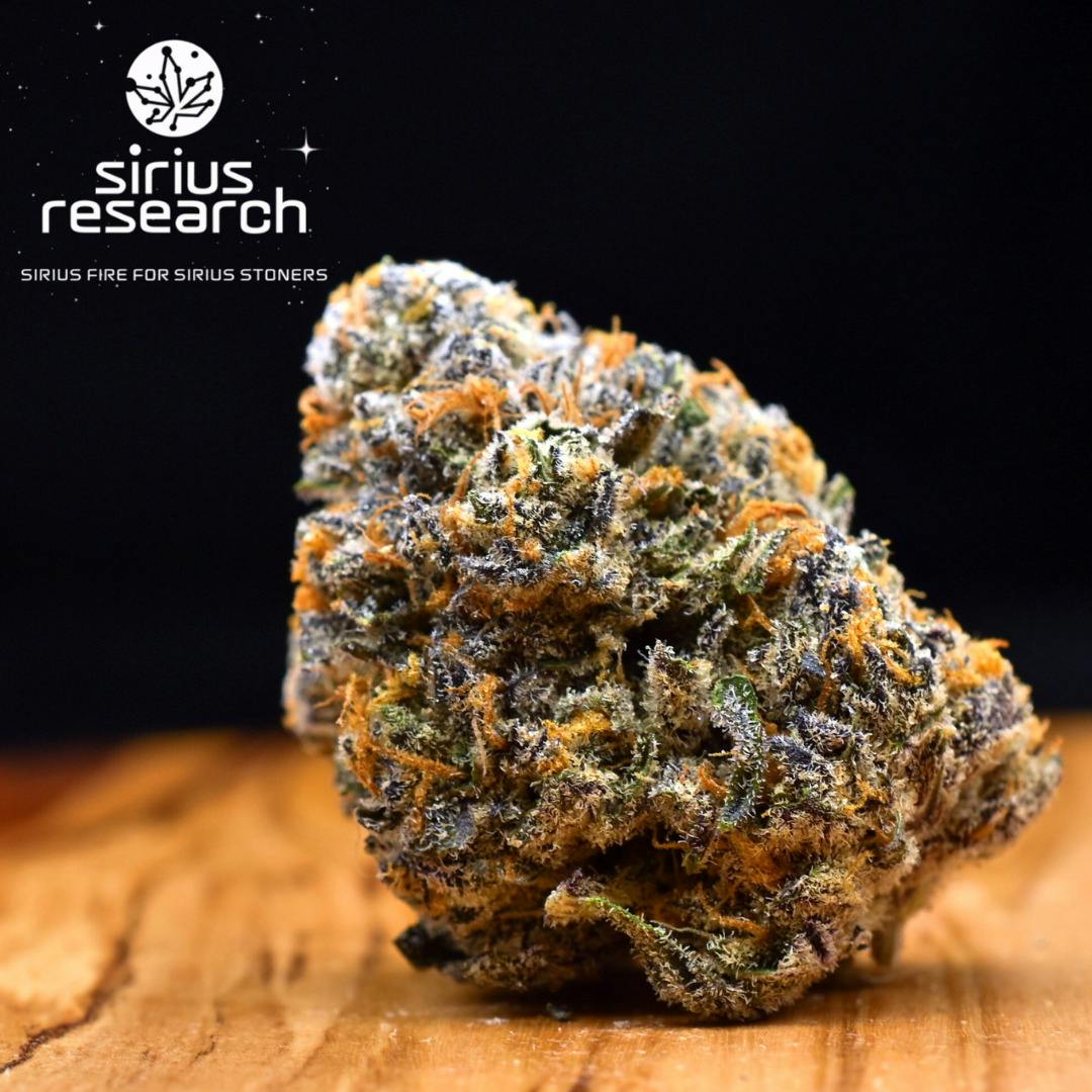 3.5g Jokers Candy | Prepack Flower | Sirius Research