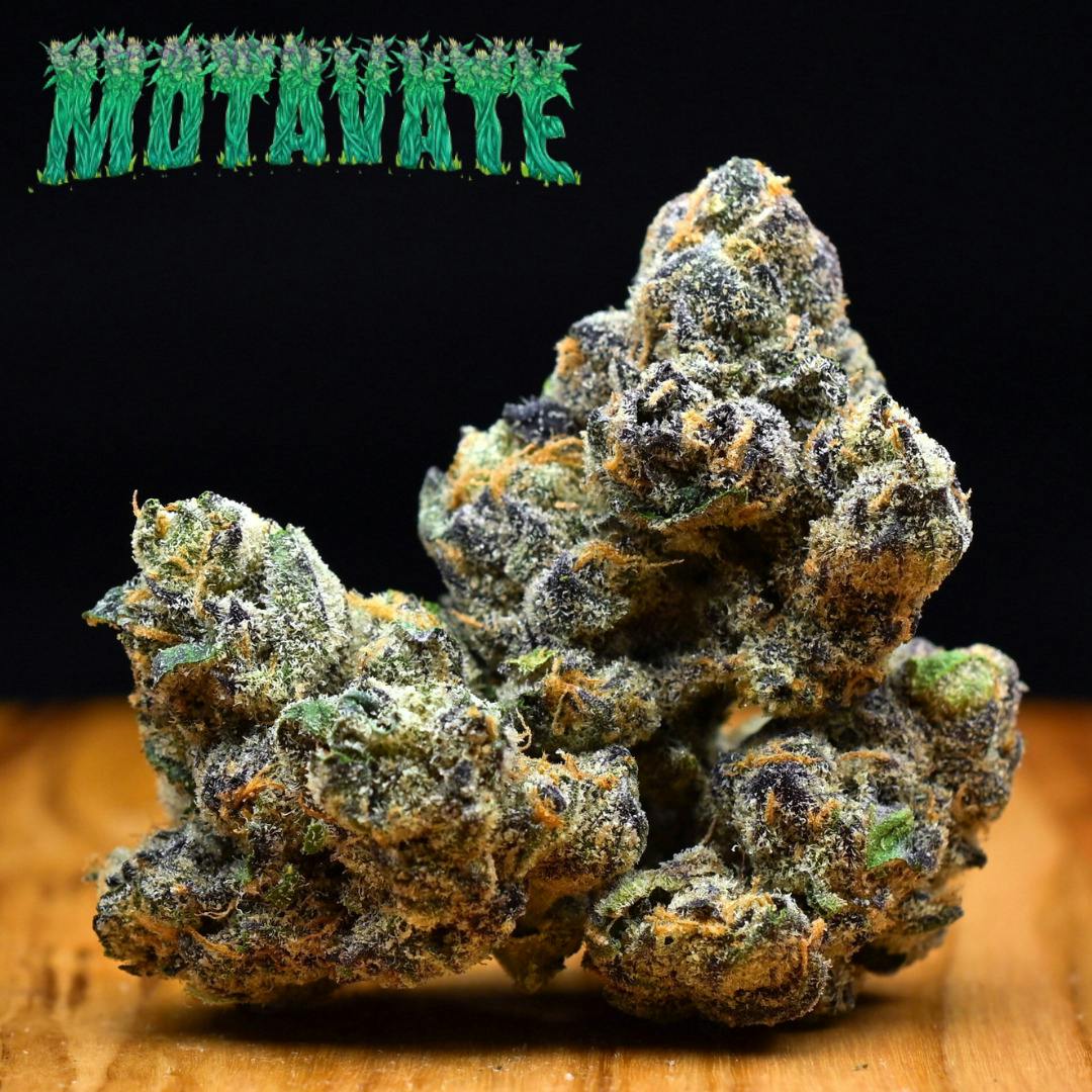 3.5g Blue Lobster | Prepack Flower | Motavate