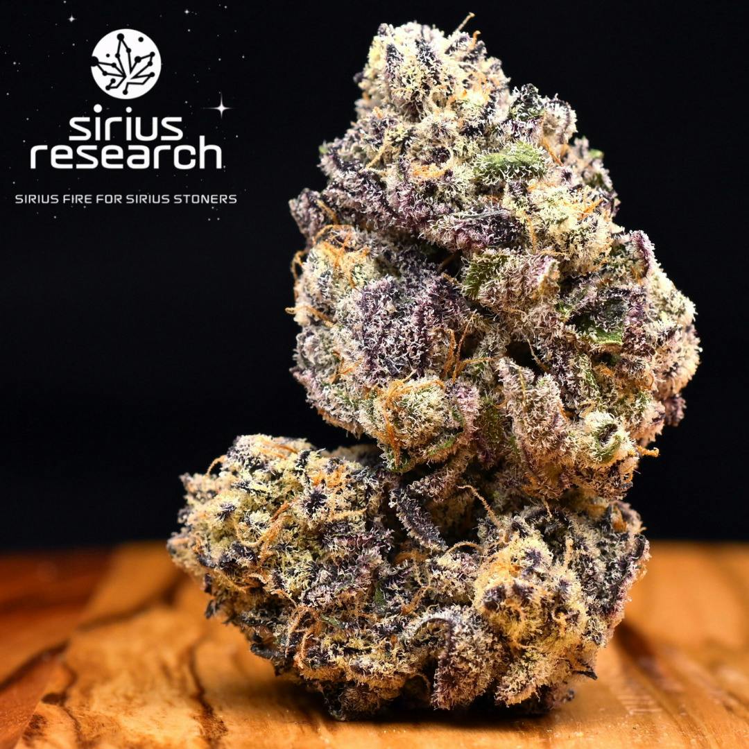 3.5g Banaffy Taffy | Prepack Flower | Sirius