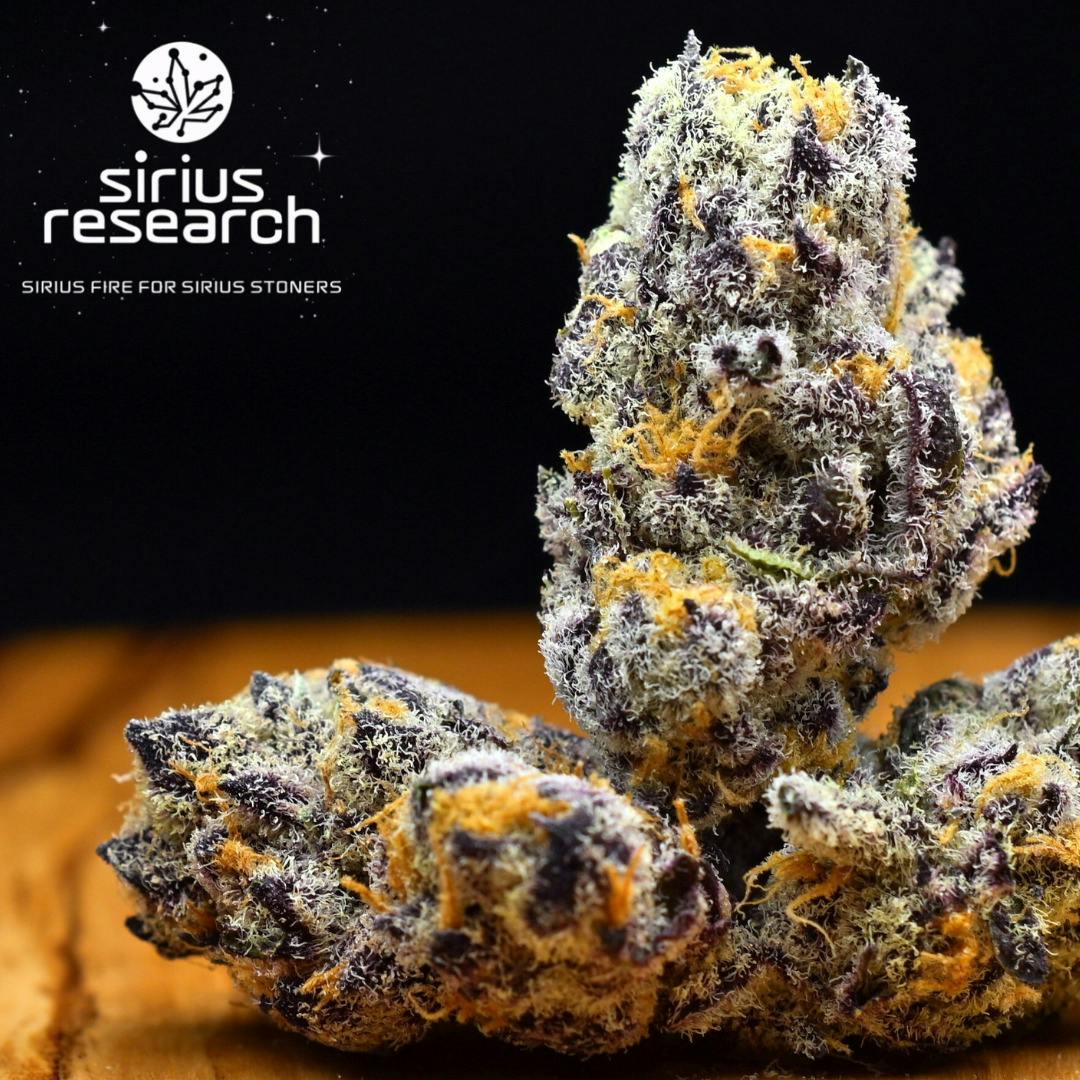3.5g Disco Stick | Prepack Flower | Sirius