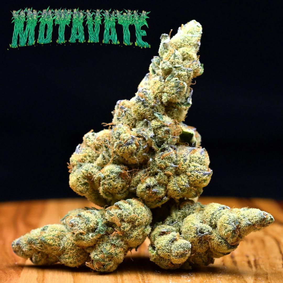 3.5g Garlic Sherb Cocktail | Prepack Flower | Motavate