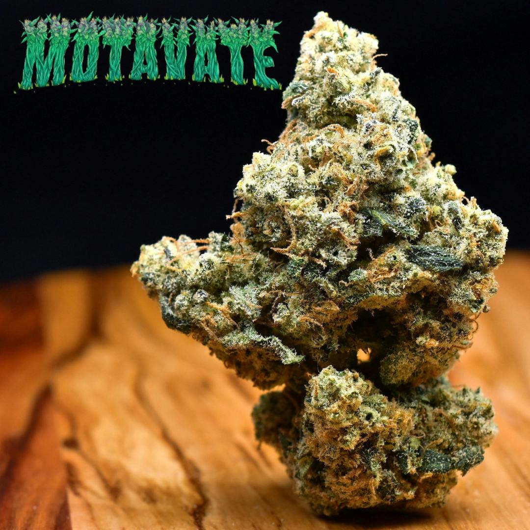 3.5g Orange Zushi | Prepack Flower | Motavate