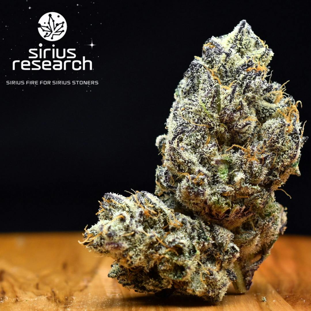 3.5g Peach Destiny | Prepack Flower | Sirius