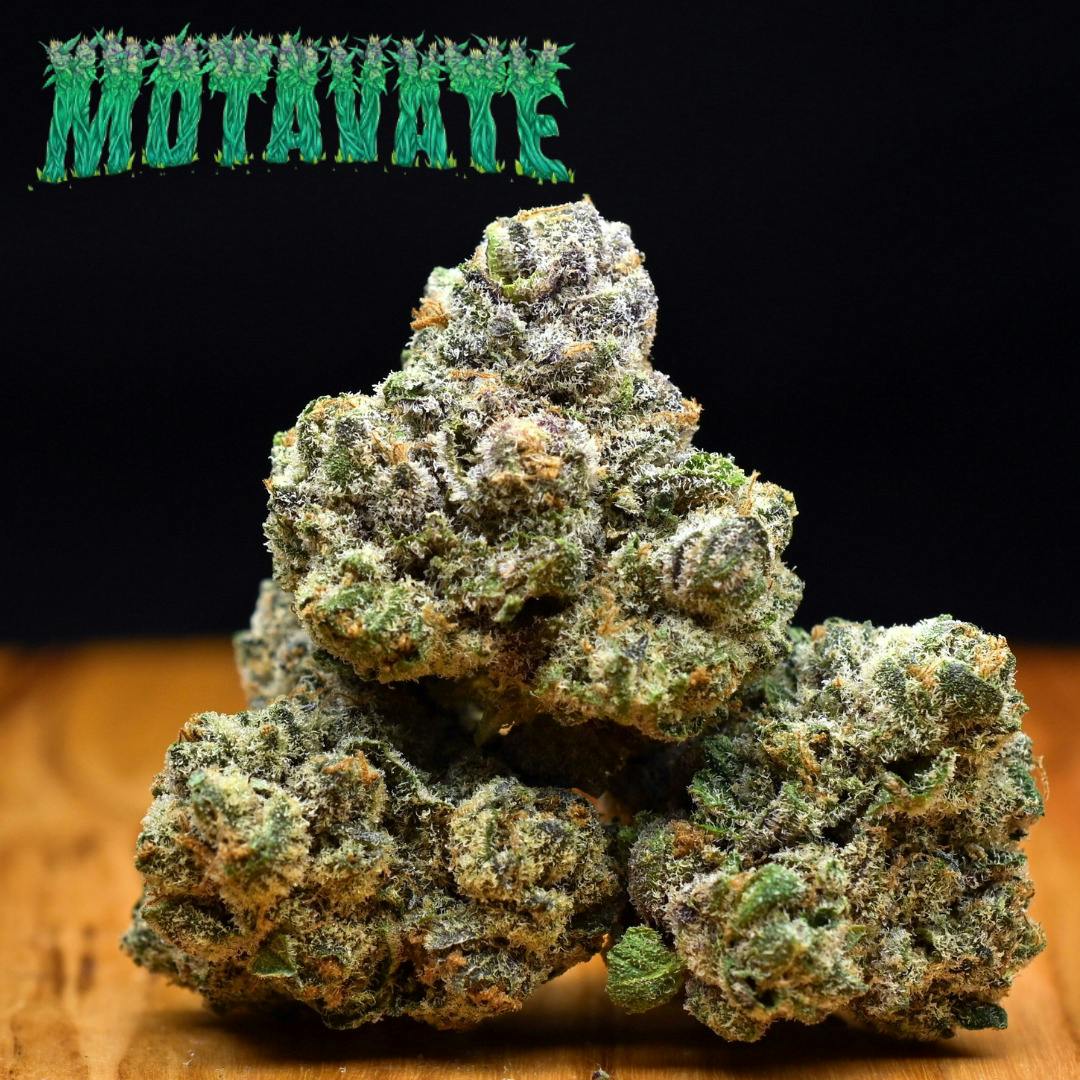 3.5g Sweedish Fish | Prepack Flower | Motavate