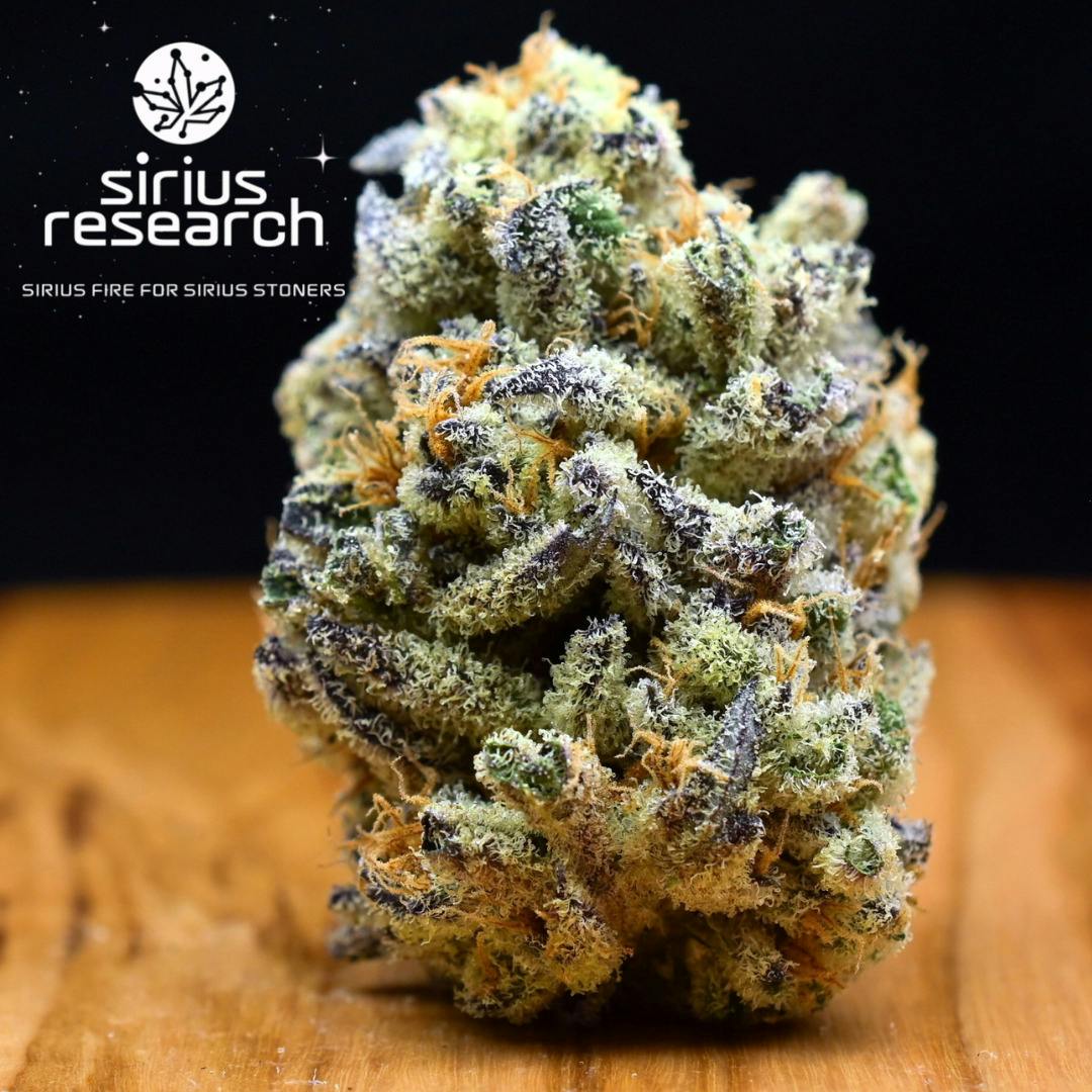 3.5g Rankenstien | Prepack Flower | Sirius