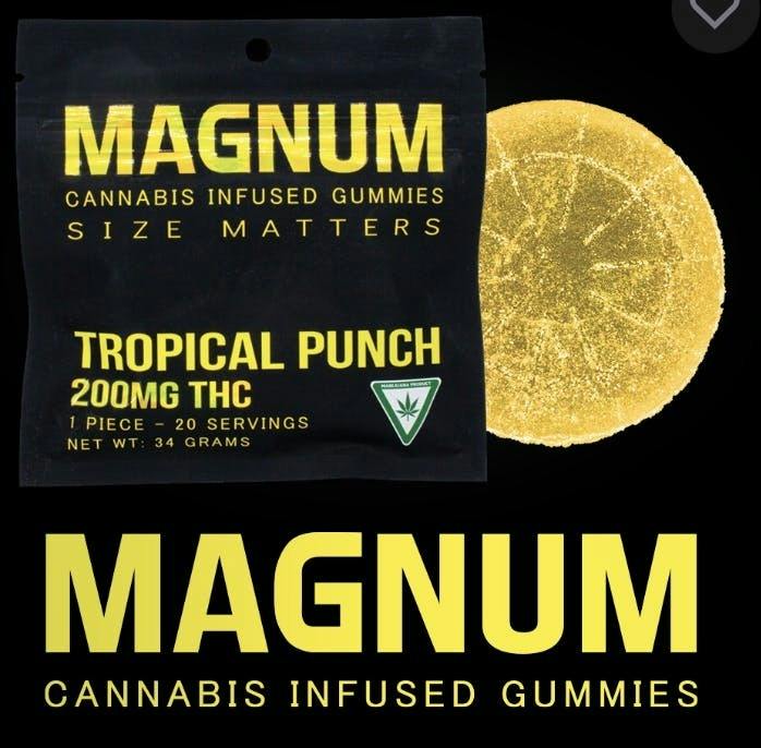Magnum - Tropical Fruit