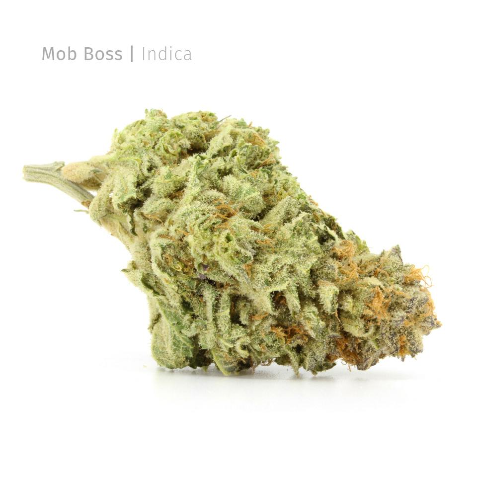REC - Mob Boss